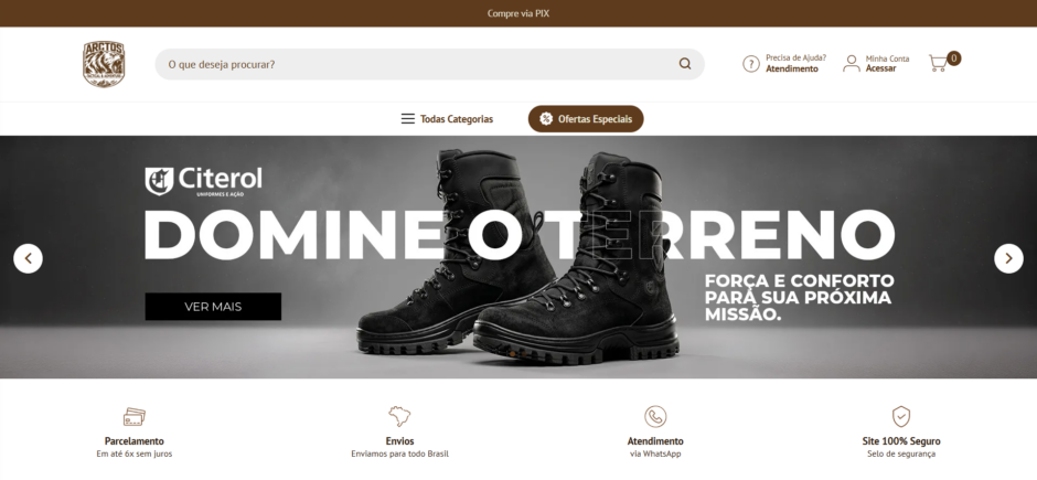 Preview do Site